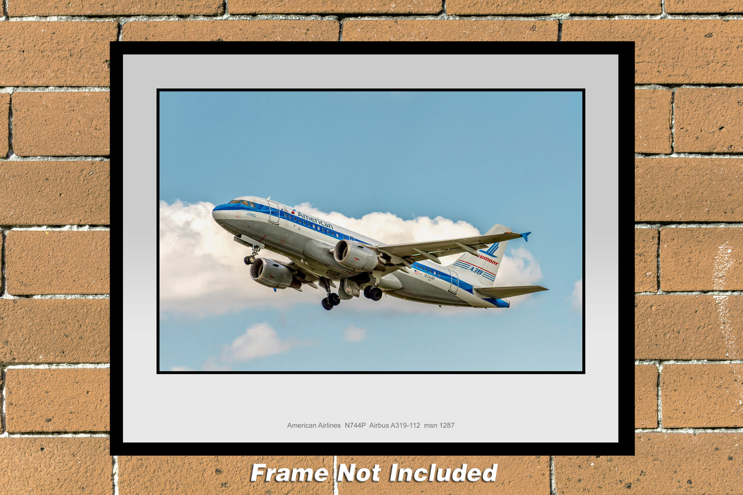 American Airlines Airbus A319 Piedmont Heritage Color Photograph (AB095LAJM11X14)