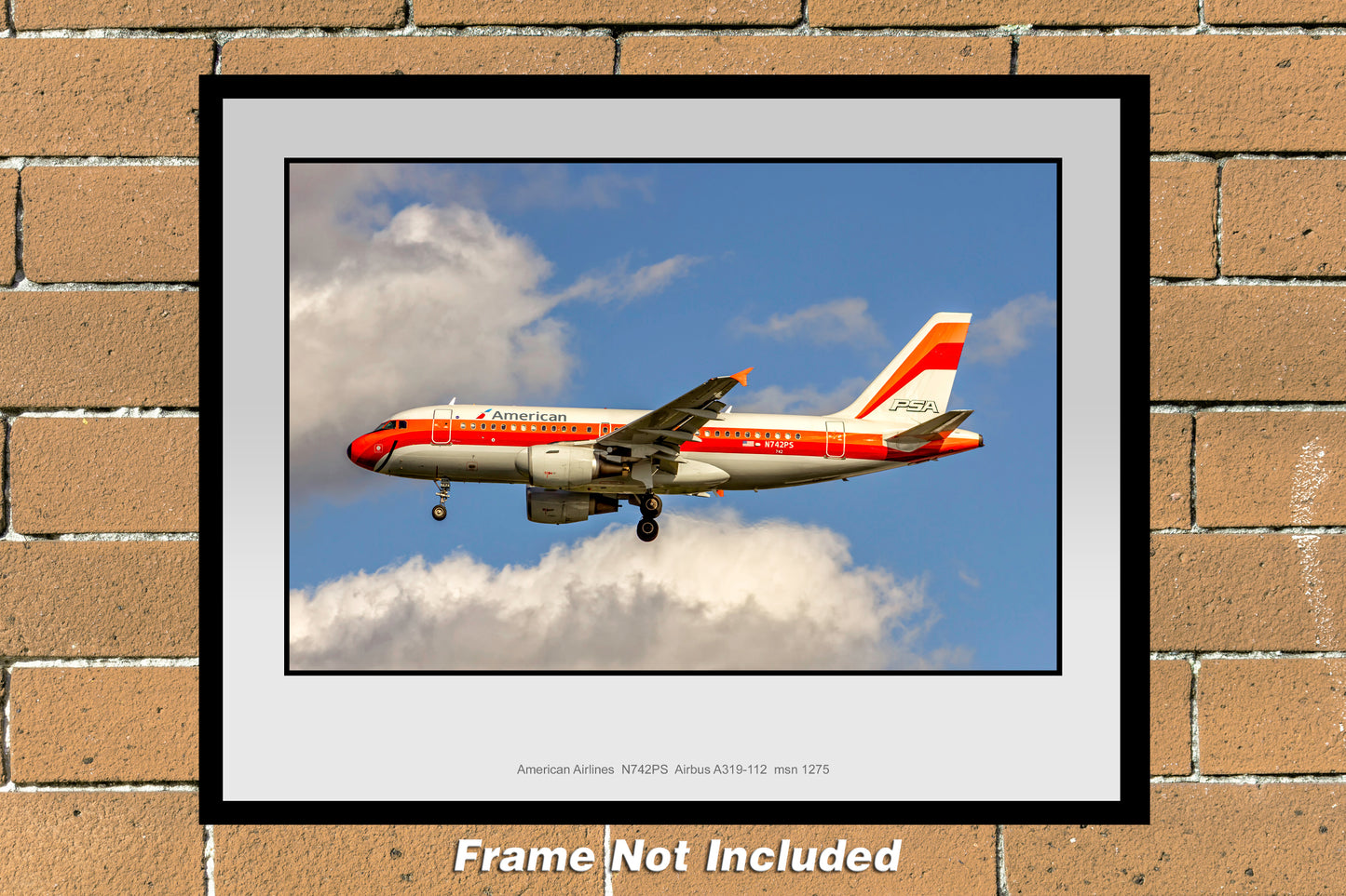 American Airlines Airbus A319 PSA Heritage Color Photograph (AB030LAJM11X14)