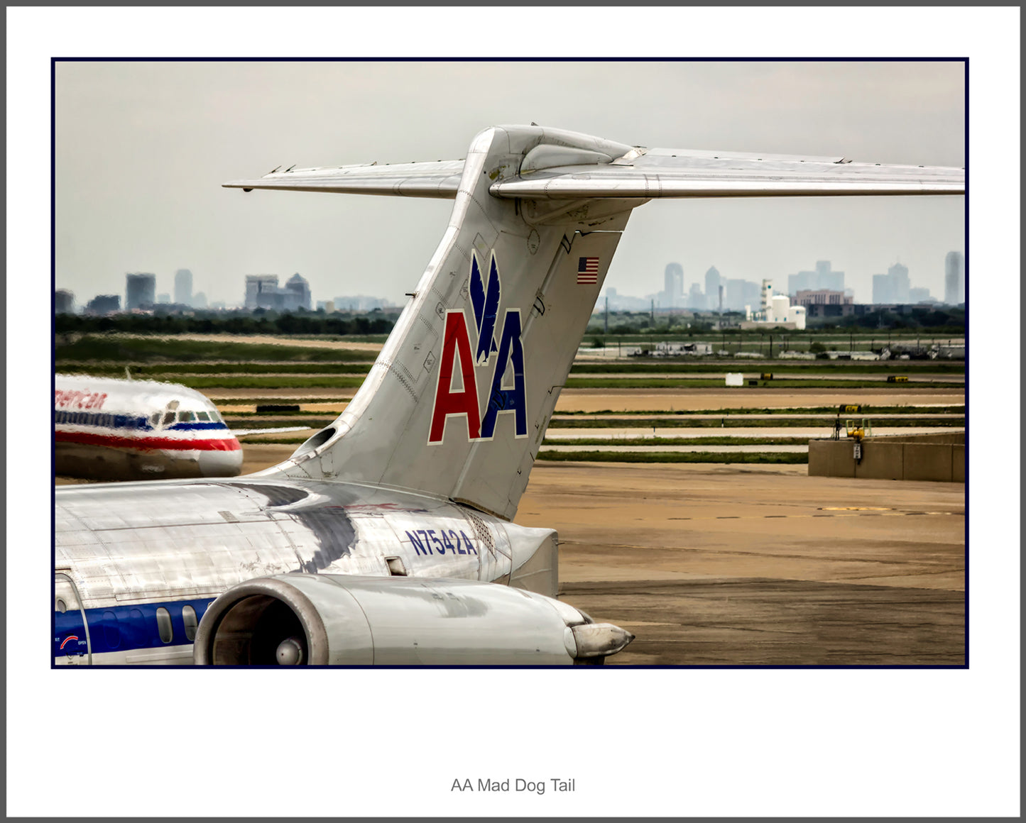 American Airlines AA Mad Dog MD-80 Color Photograph (APPL10017)