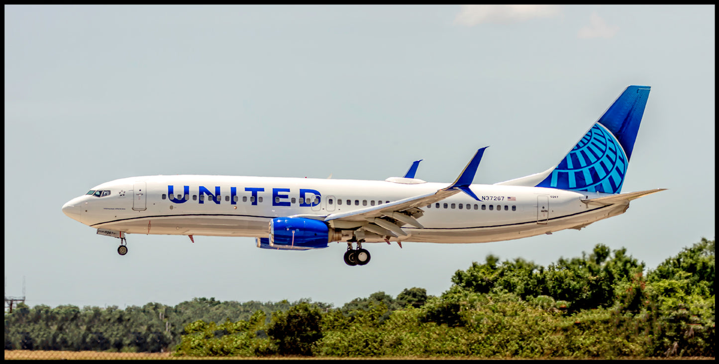 United Airlines Boeing 737-900 Color Photograph (APPM10097)