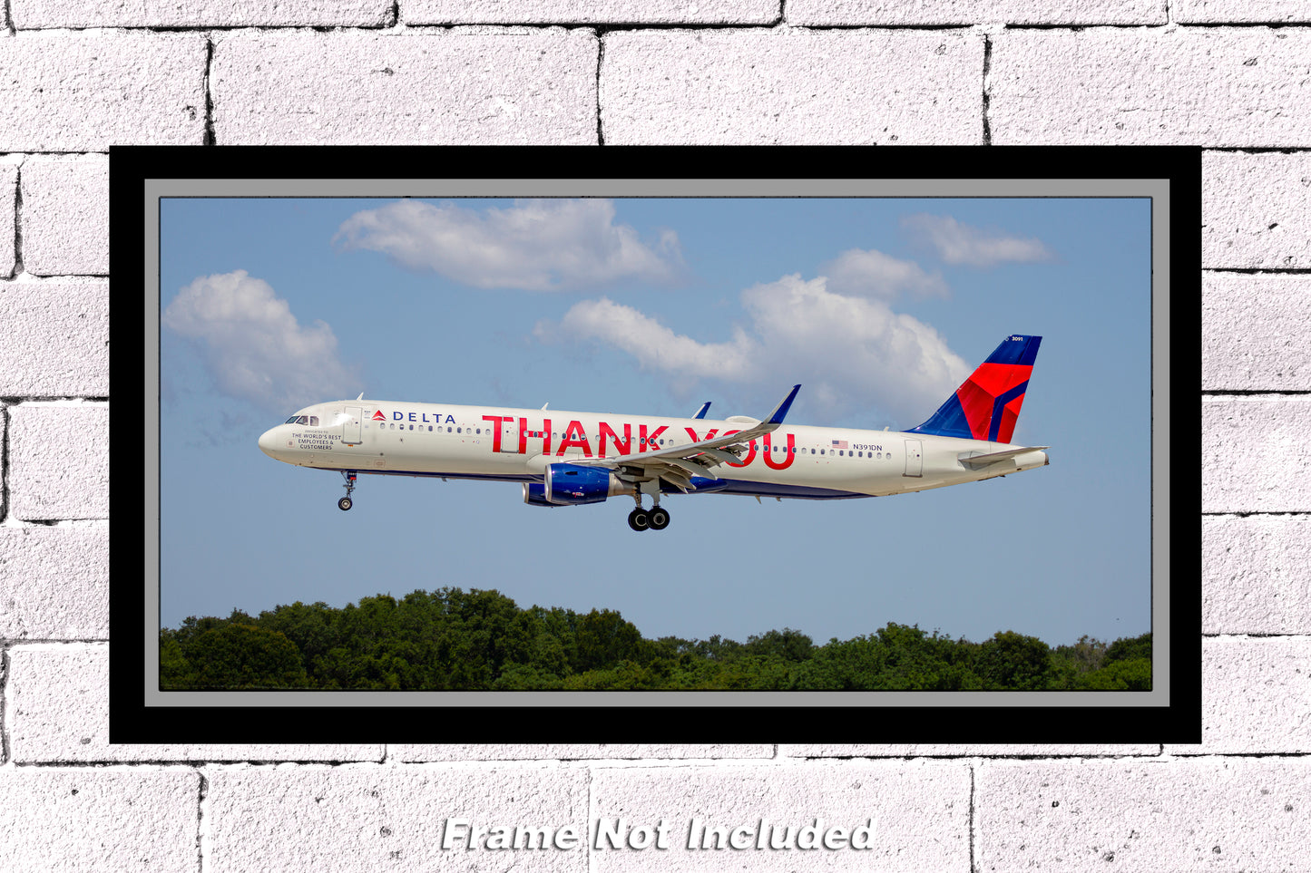 Delta Air Lines Airbus A321-211(WL) N391DN Color Photograph (APPM10102)