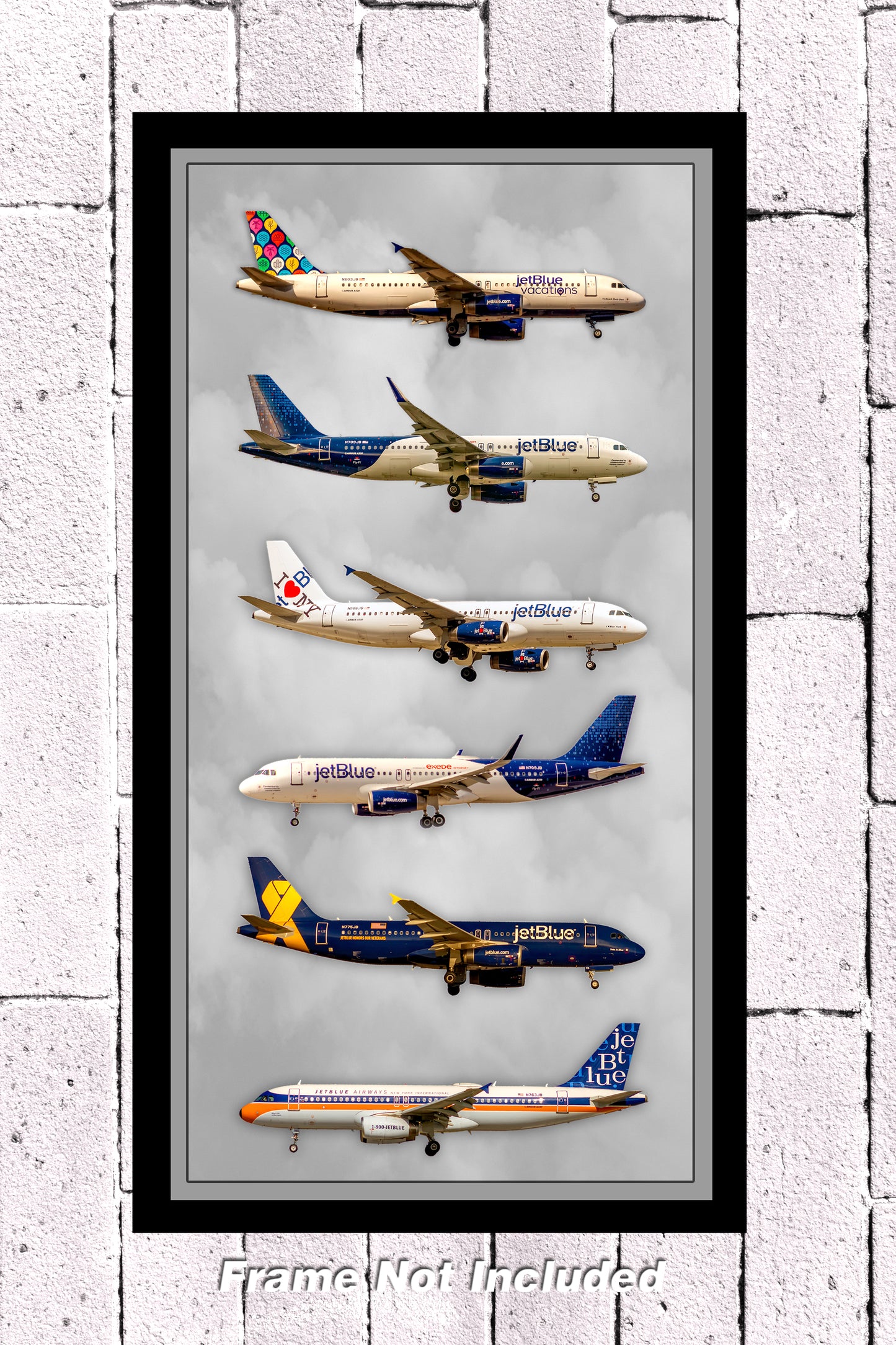 JetBlue Airways Special Color Collage Photograph (APPM90005)