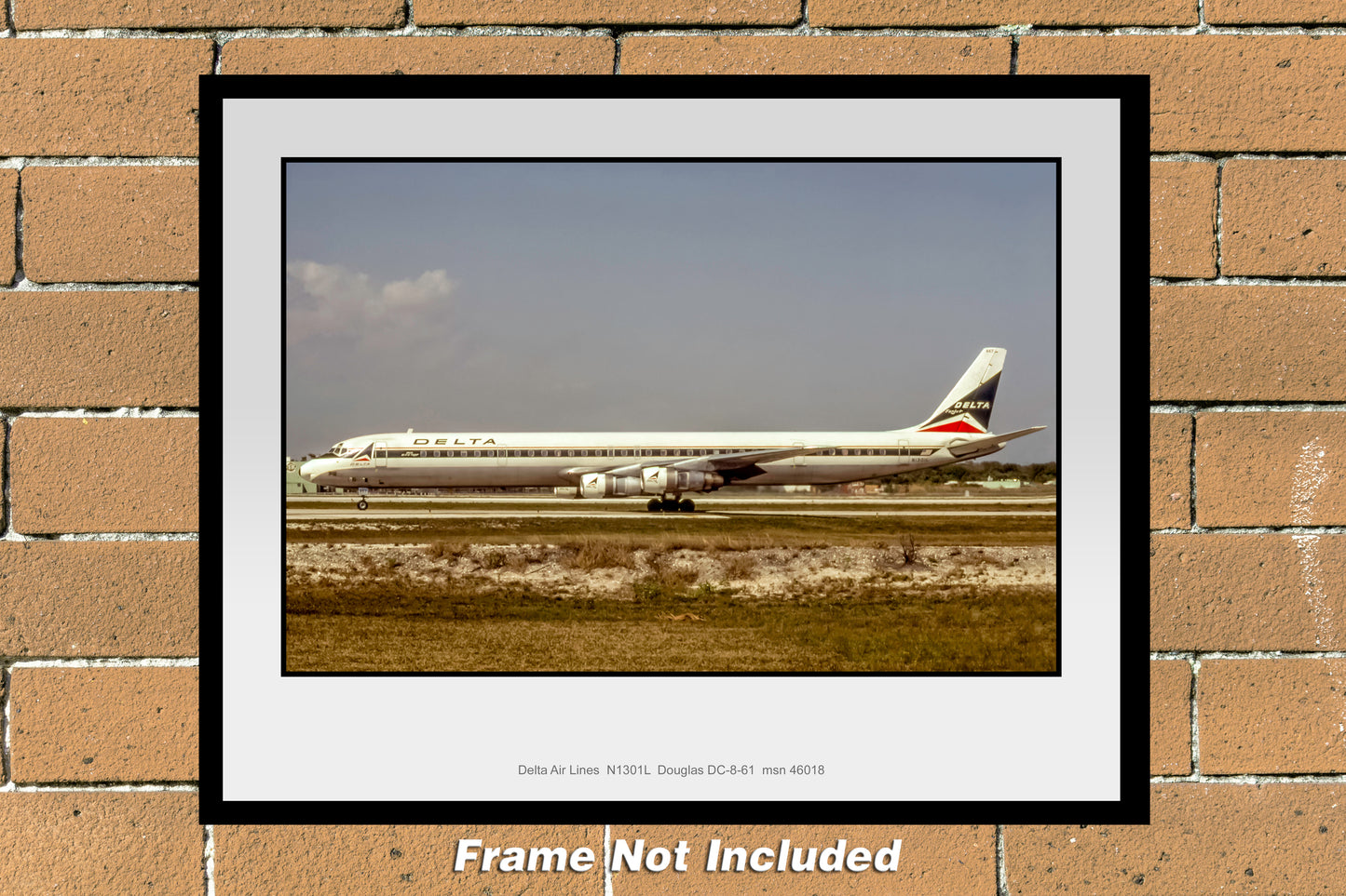 Delta Air Lines Douglas DC-8-61 Color Photograph (B038LGNC11X14)