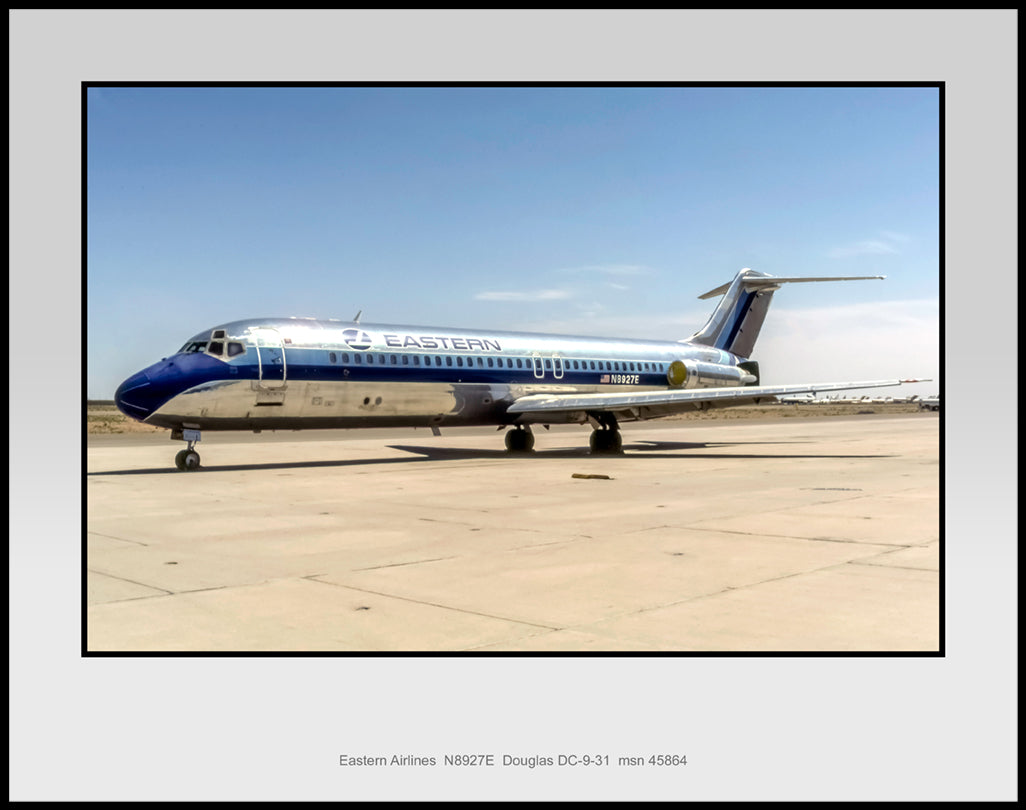 Eastern Airlines Douglas DC-9-31 Color Photograph (C133LGJC11X14)