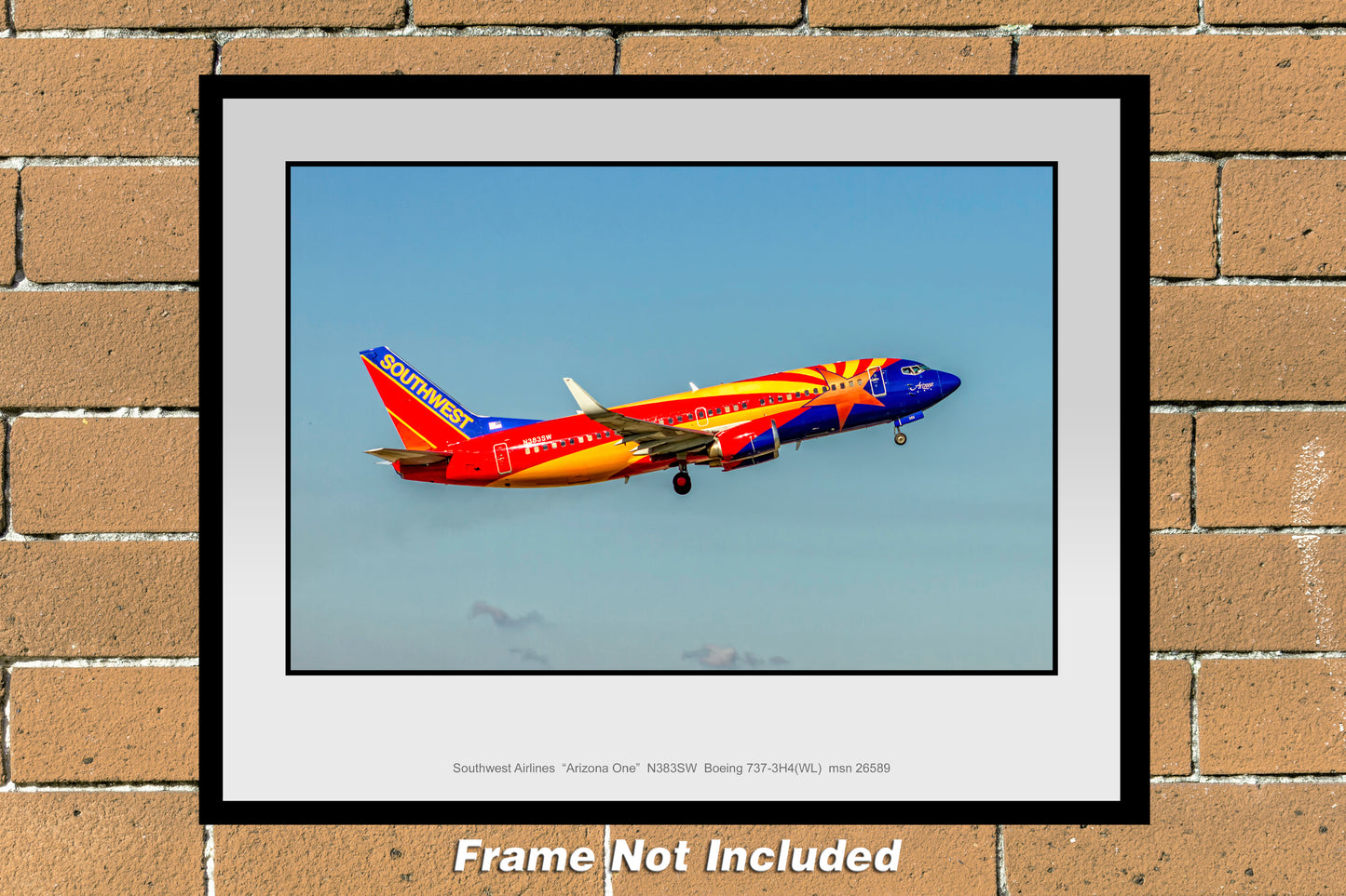 Southwest Airlines Arizona One Color Photograph (K174RAJM11X14)