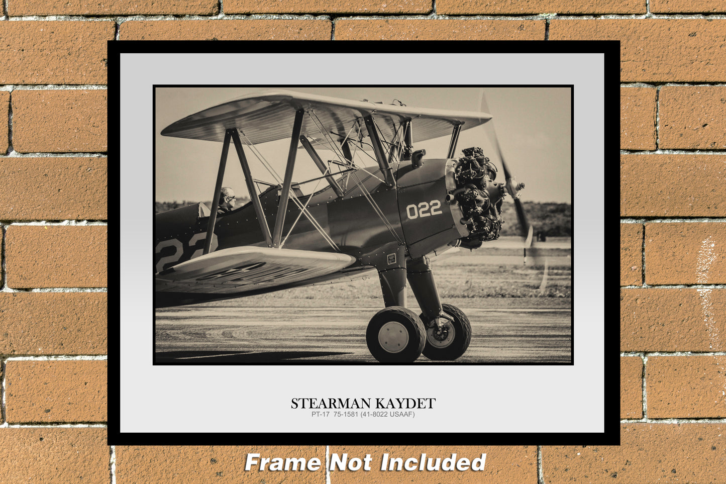 Stearman Kaydet PT-17 Black & White Photograph (LA001RGJM11X14)