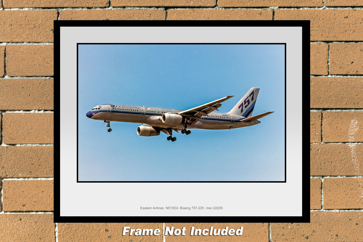 Eastern Airlines Boeing 757-225 Color Photograph (N017LADH11X14