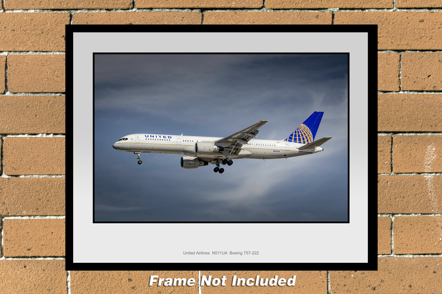 United Airlines Boeing 757-222 Color Photograph (N087LAJM11X14)