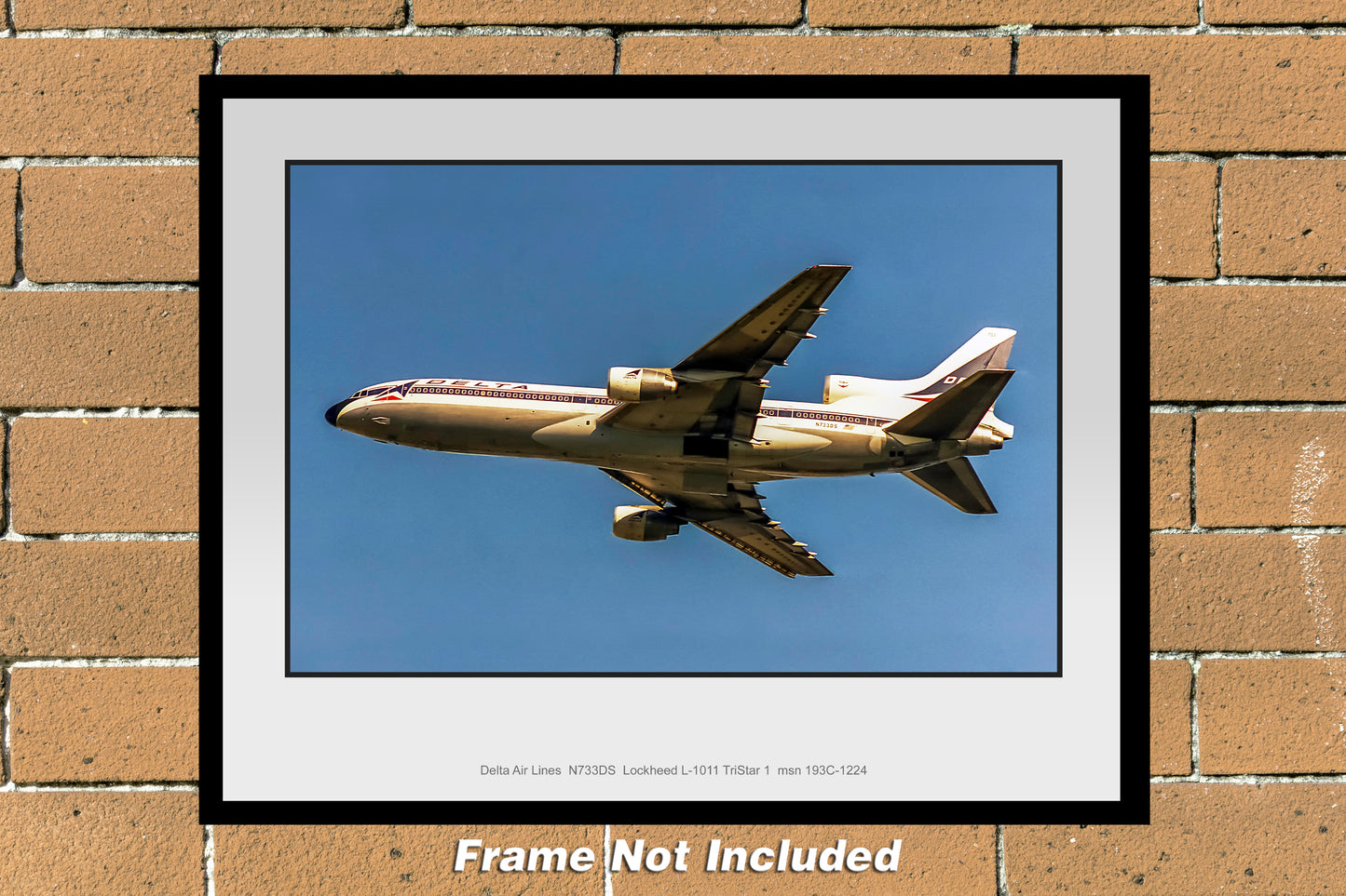 Delta Air Lines L-1011 TriStar Color Photograph (Q036LAJM11X14)