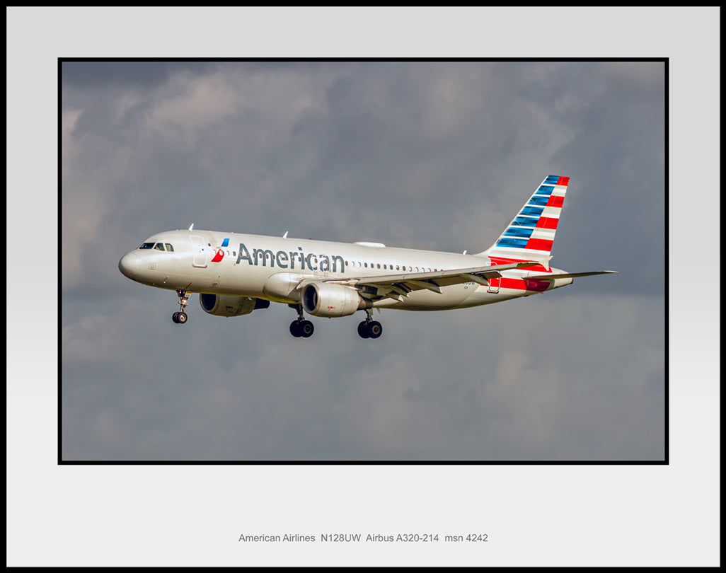 American Airlines A320-214 Color Photograph (T200LAJM11X14)