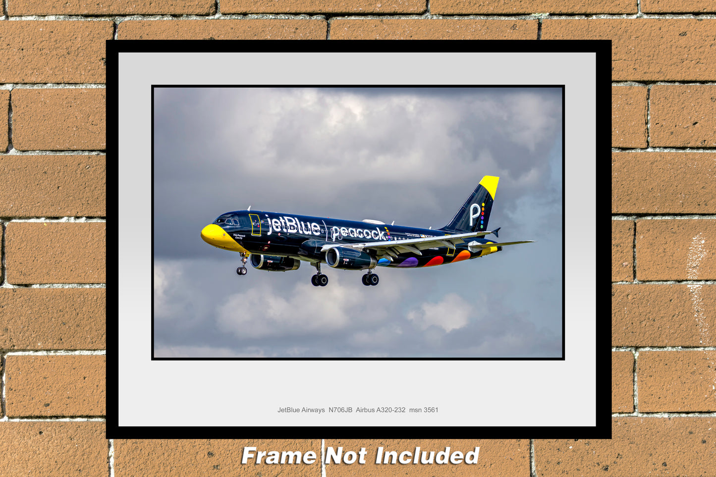 JetBlue Airways N506JB Airbus A320 11" X 14" Color Photograph (T250LAJM11X14)