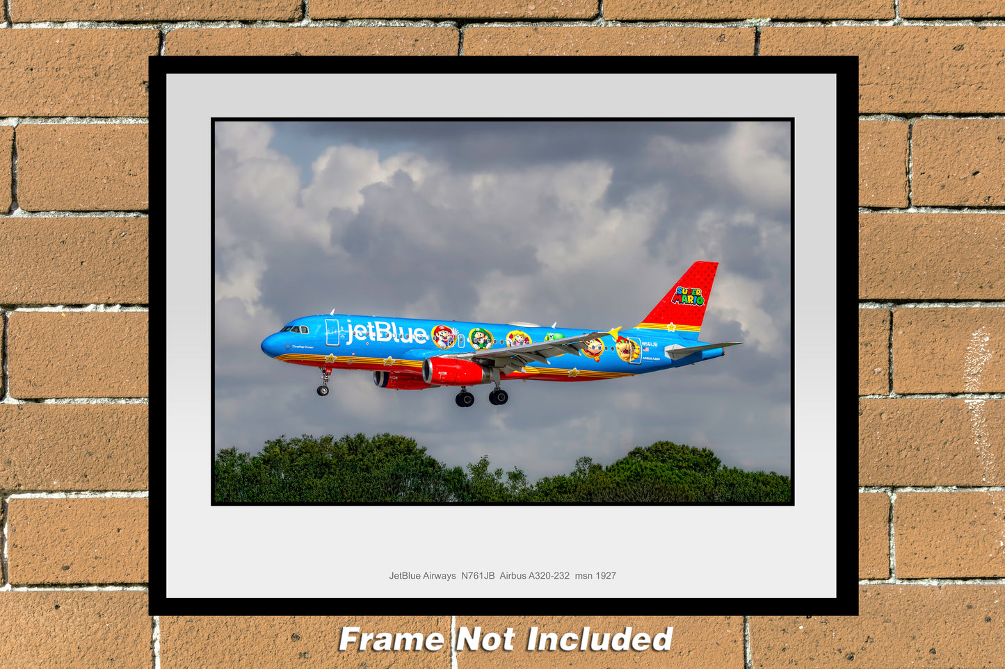 JetBlue Airways N561JB Airbus A320 11" X 14" Color Photograph (T251LAJM11X14)
