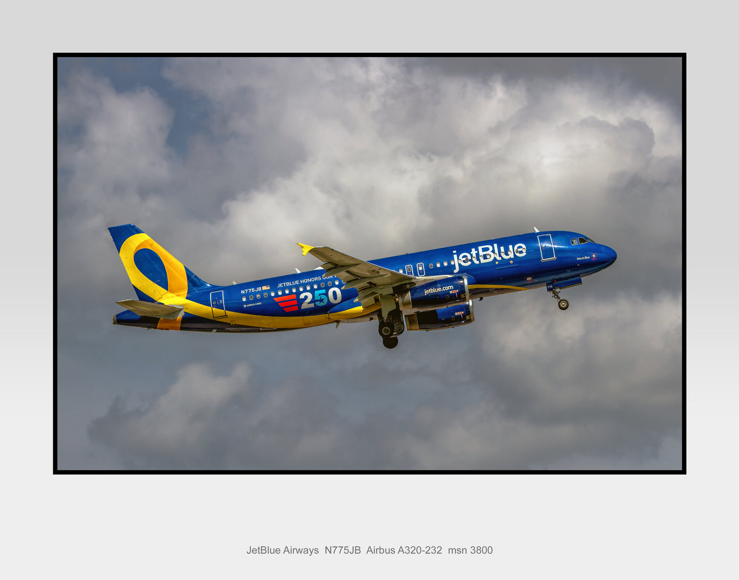 JetBlue Airways Vets in Blue 250 Airbus A320 11" X 14" Color Photograph (T268RAJM11X14)