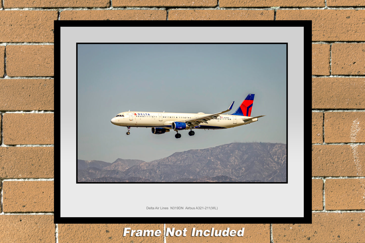 Delta Air Lines Airbus A321-211(WL) Color Photograph (TA046LAJM11X14)