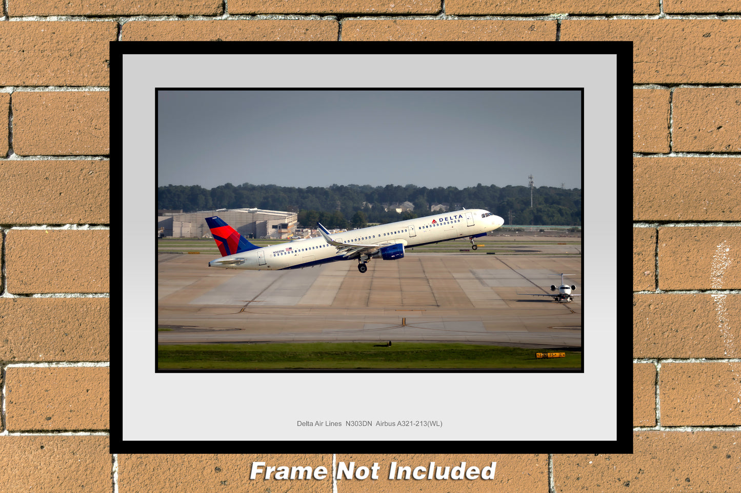 Delta Air Lines Airbus A321-213(WL) Color Photograph (TA059RAJM11X14)