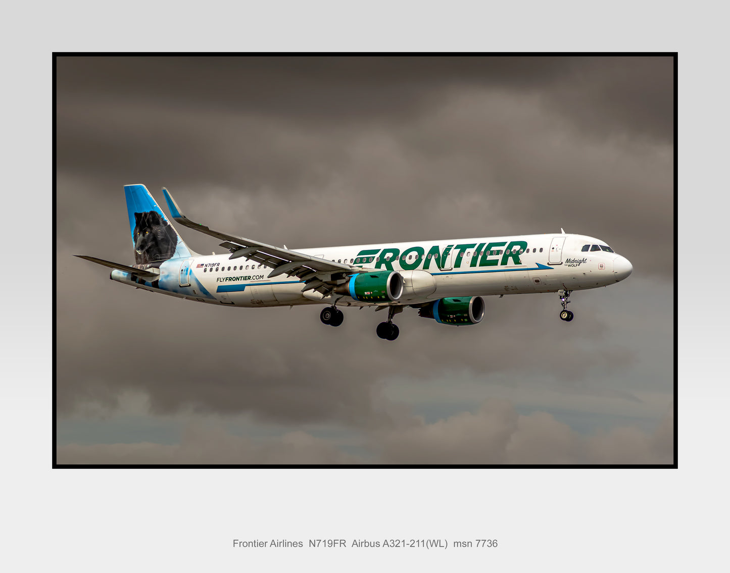Frontier Airlines Airbus A321-211(WL) Color Photograph (TA067RAJM11X14)