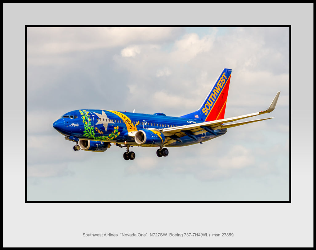 Southwest Airlines Nevada One Colors Color Photograph (TT193LAJM11X14)