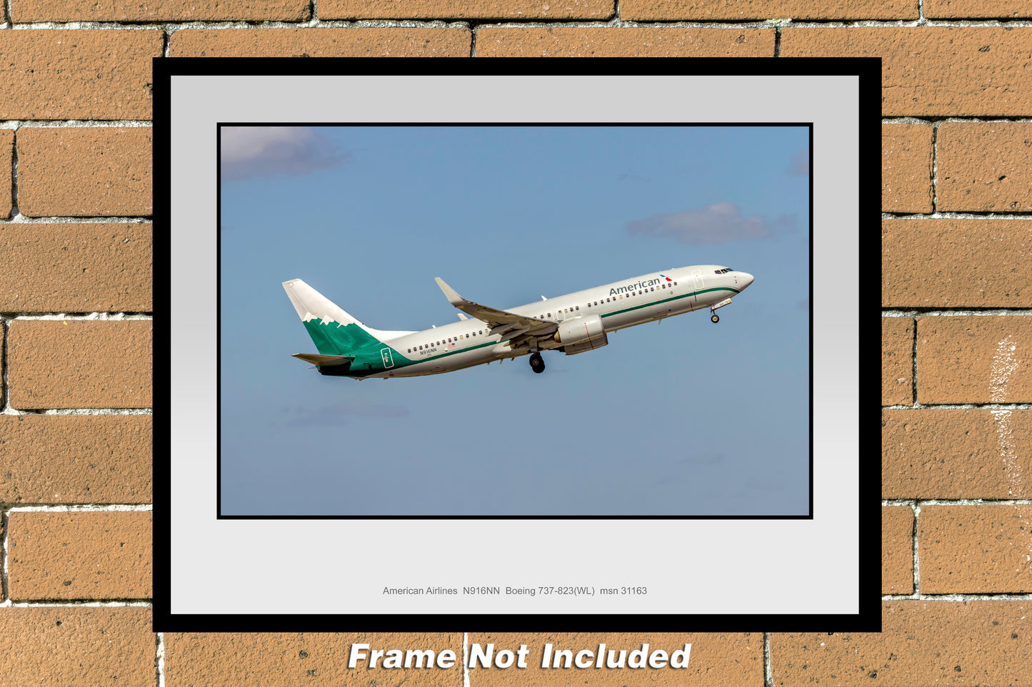American Airlines Boeing 737-823 Reno Heritage Color Photograph (UU124RAJM11X14)