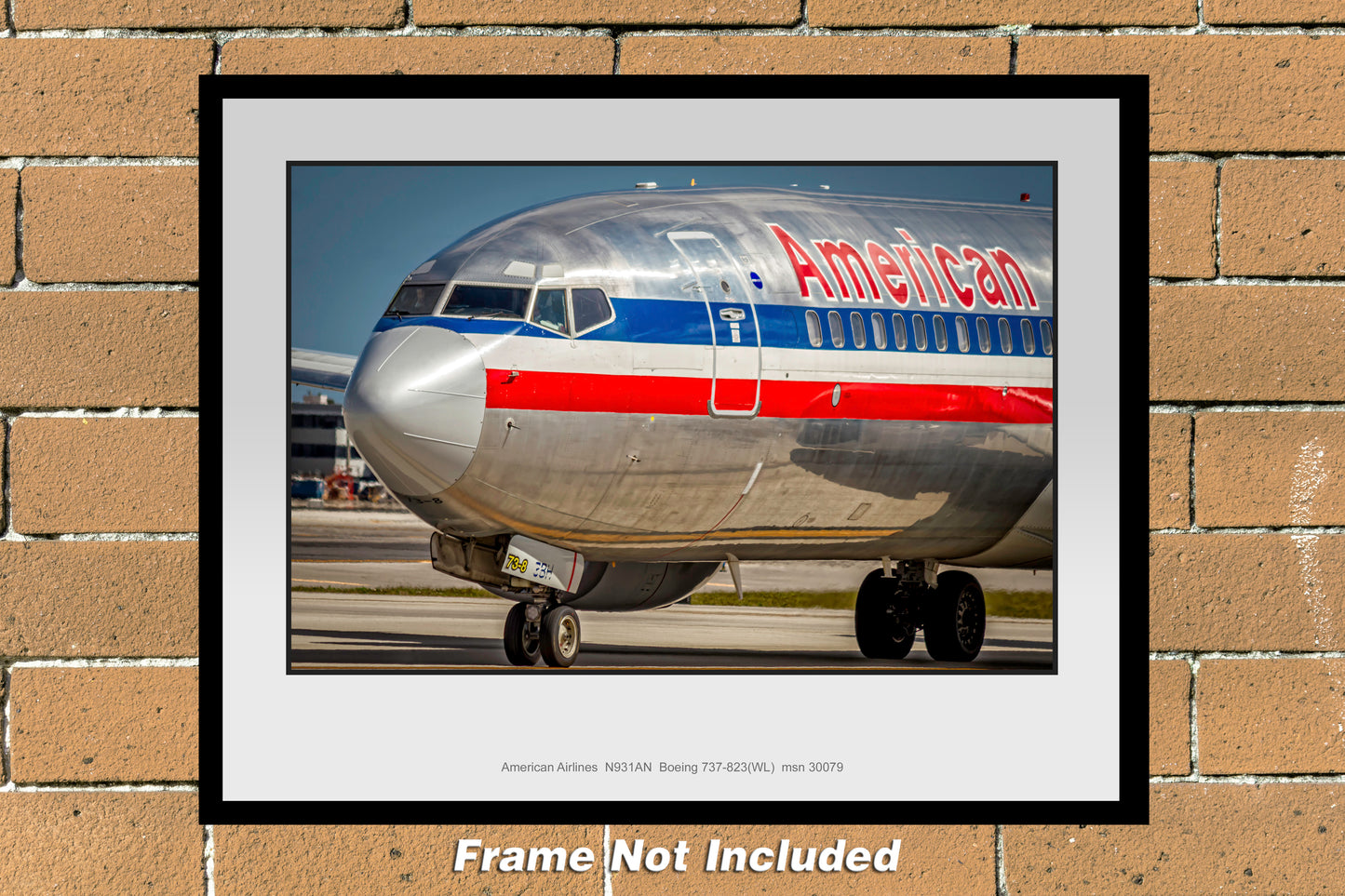 American Airlines Legacy Boeing 737 Nose Color Photograph (UU125LGJM11X14)