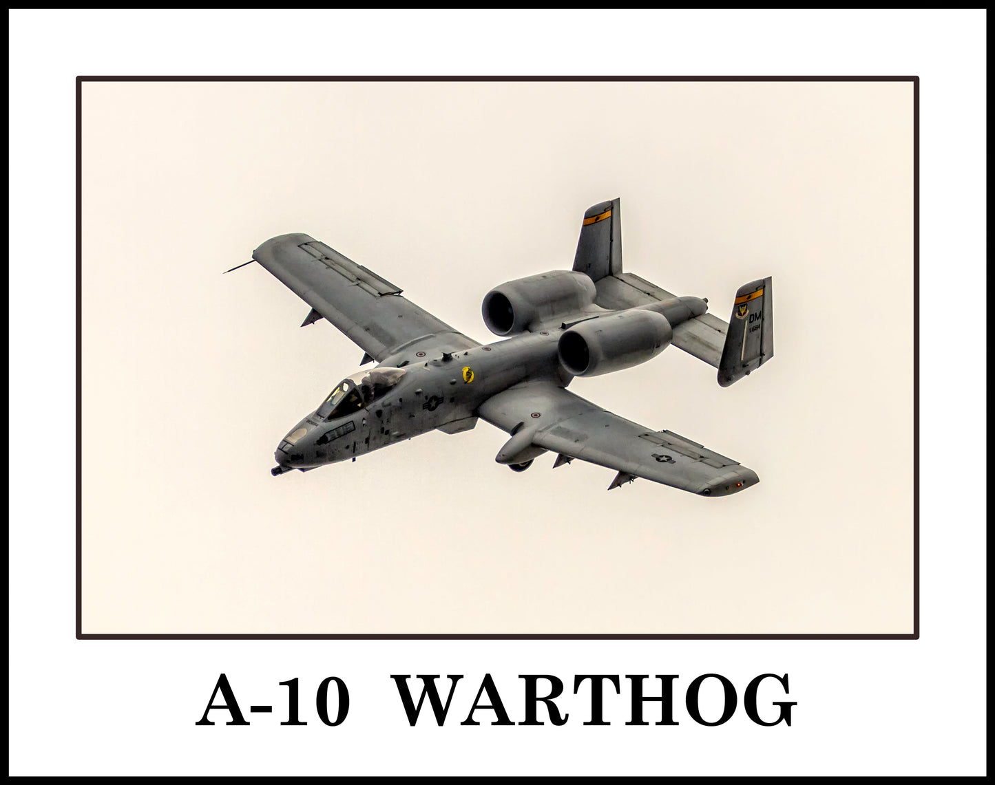 Unframed a-10 warthog aircraft 11"x14" color military photograph