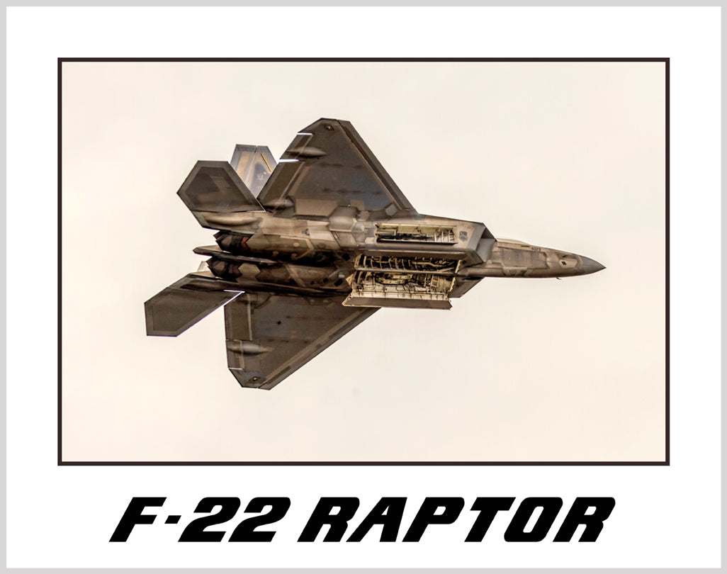 F22 Raptor 11"x14" color military photograph