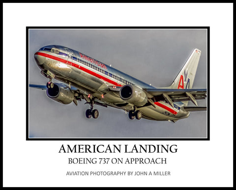 American Airlines Legacy Boeing 737-800 Landing Photograph (APPL10001)