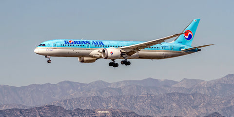 Korean Air Boeing Dreamliner HL8082 Color Photograph (APPM10099)