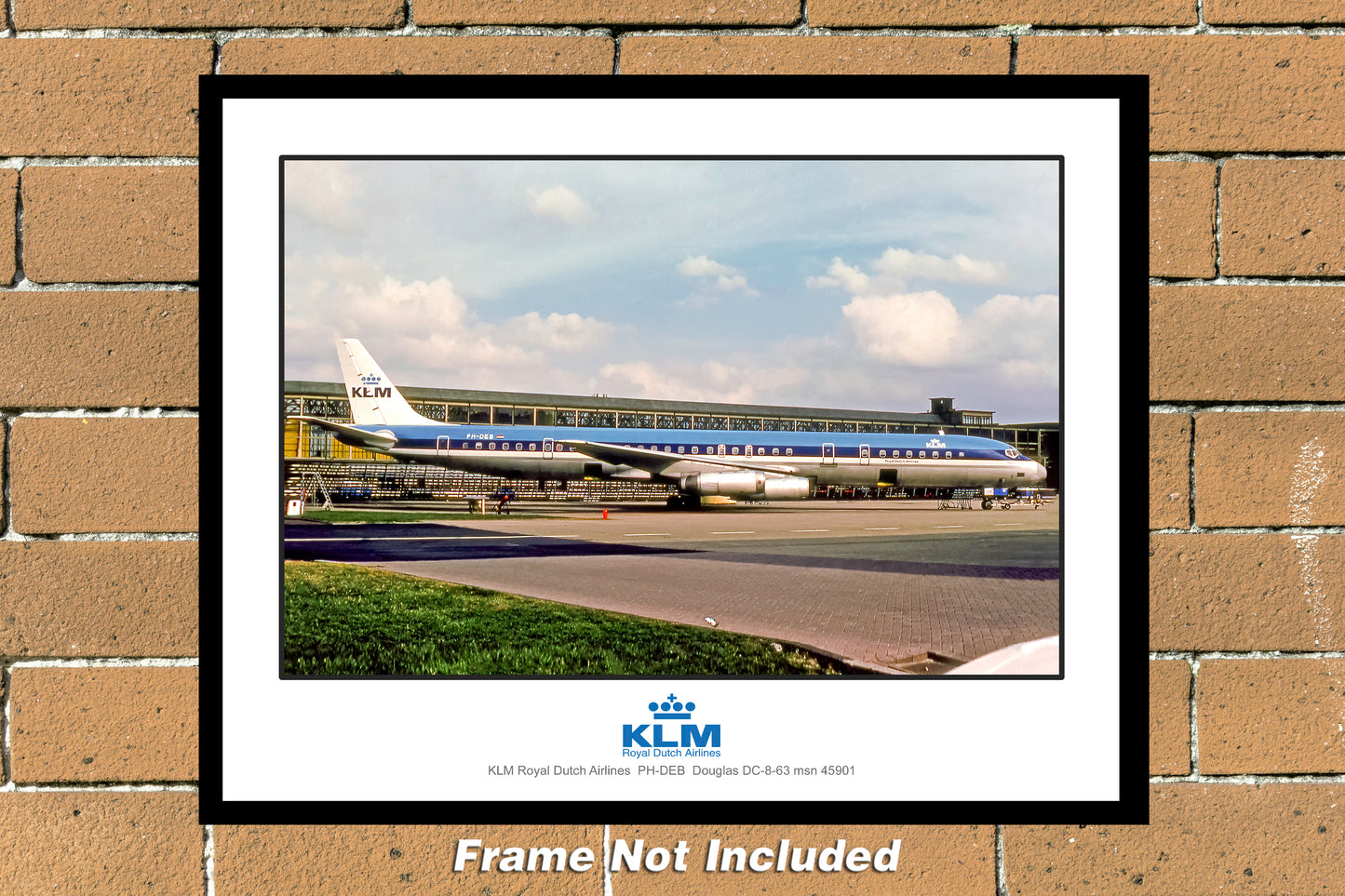 KLM Royal Dutch Airlines Douglas DC-8 Color Photograph (B006RGJC11X14)