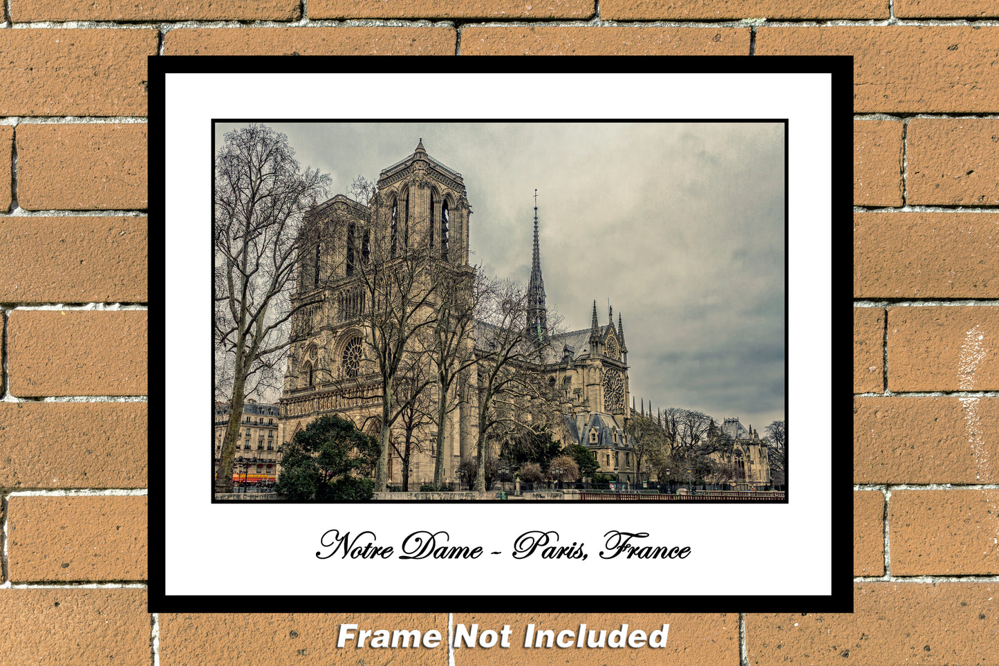 Notre Dame with Trees Color Photograph (CDG171224005611x14)