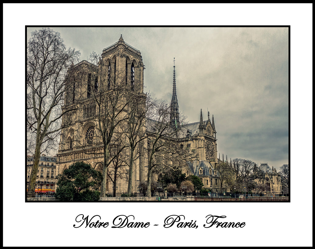 Notre Dame with Trees Color Photograph (CDG171224005611x14)