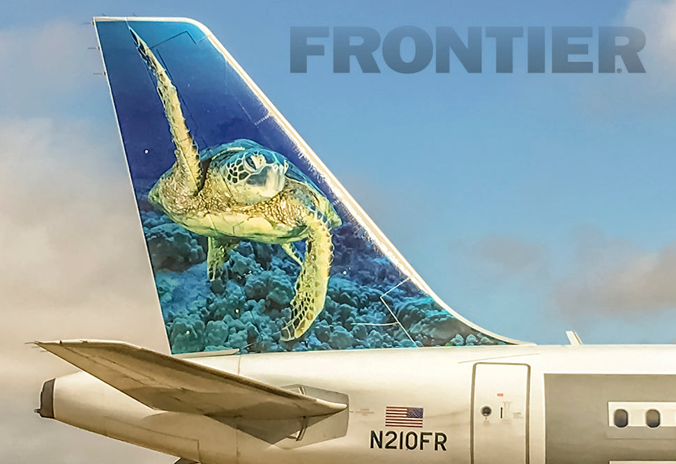 Frontier Airlines Tail Shelly The Sea Turtle Fridge Magnet (PMCT4024)