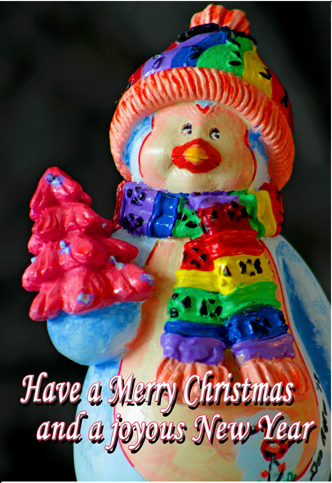 Rainbow Penguin Fridge Magnet (PMH11009)
