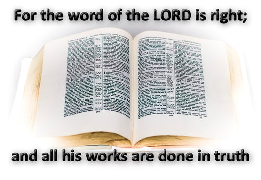 The Word of the Lord Fridge Magnet (PMT9100)