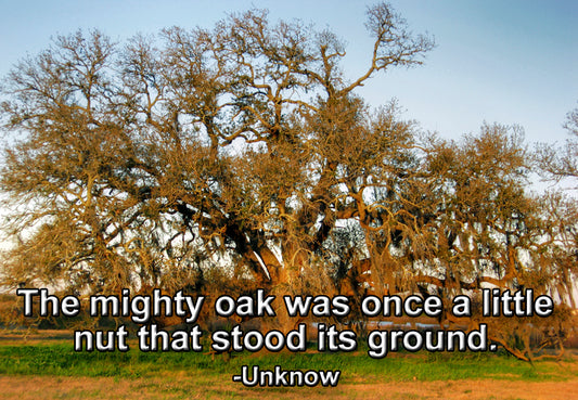 The Mighty Oak Fridge Magnet (PMT9102)