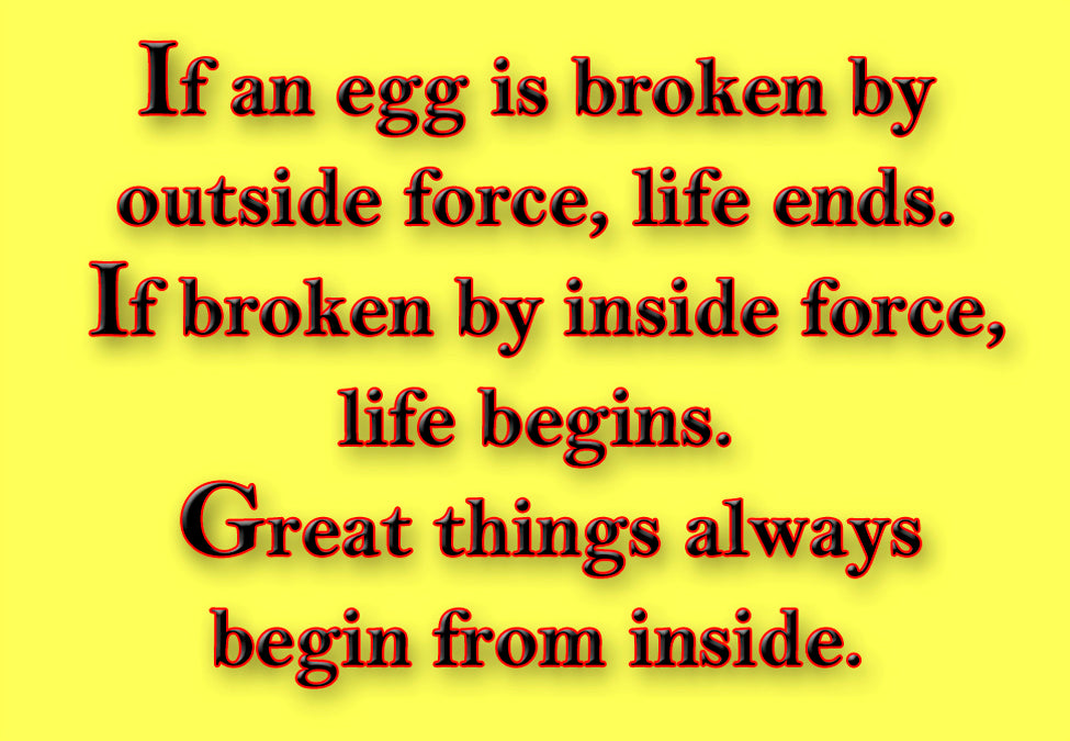 Broken Eggs Inside and Out Fridge Magnet (PMT9108)