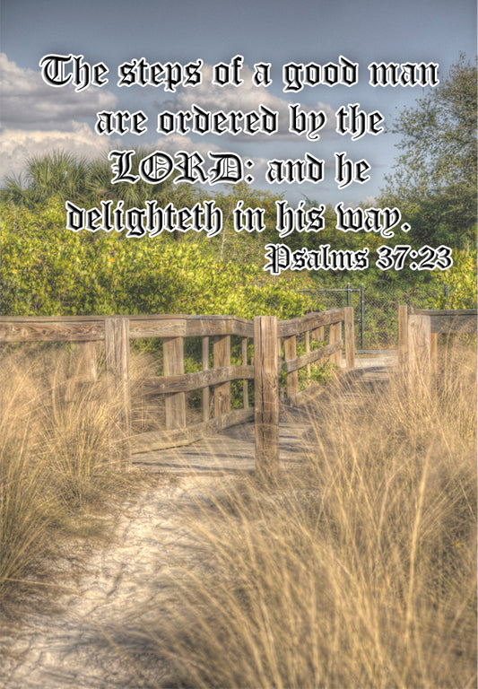 Steps of a Good Man Psalms 37:23 Fridge Magnet (PMT9110)
