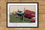 Cessnas Airplane Noses 11" x 14" Color Photograph  (20210417000711x14)