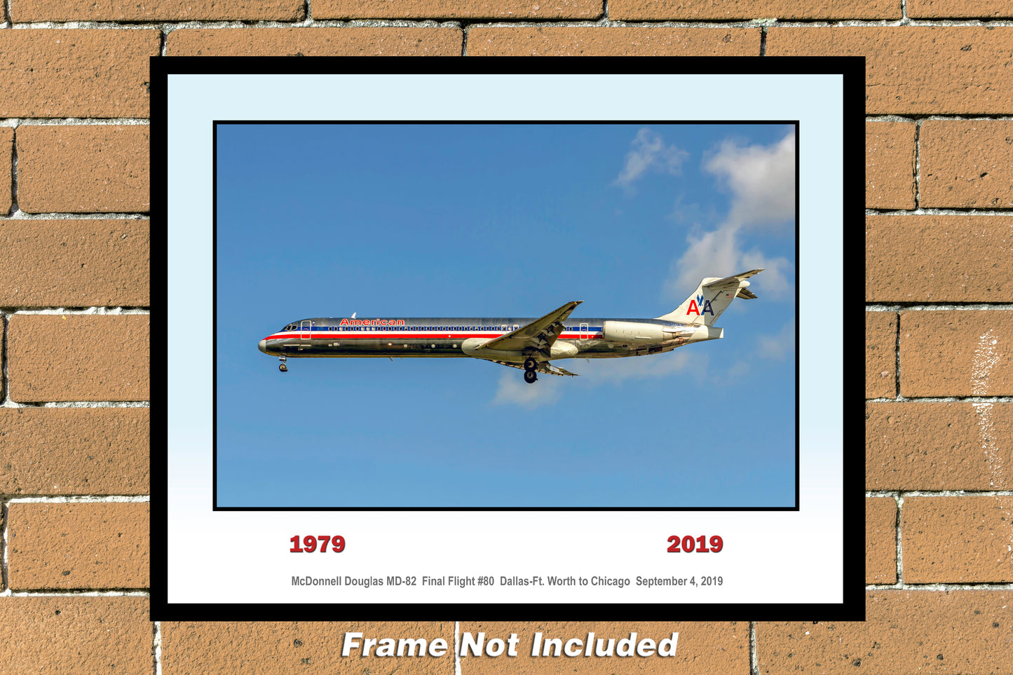 American Airlines Commemorative MD-80 N501AA Photo (AA80FINAL11X14)
