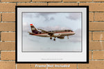 USAirways Airbus A319-112 Color Photograph (AB074RAJC11X14)