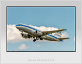 American Airlines Airbus A319 Piedmont Heritage Color Photograph (AB095LAJM11X14)