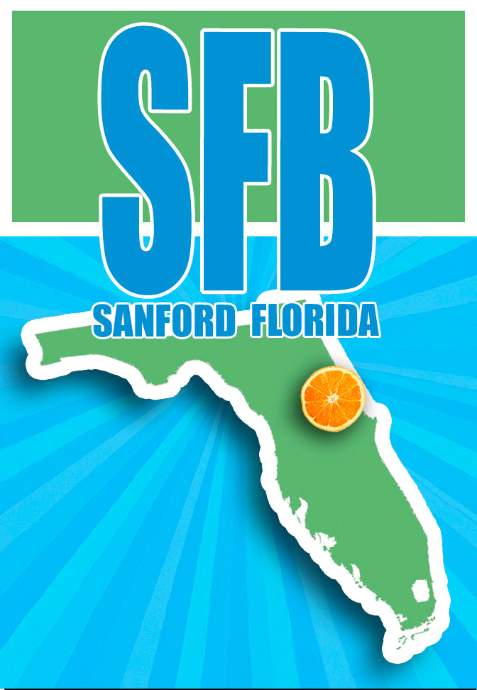 2.25"x3.25" SFB Airport IATA code handmade fridge magnet