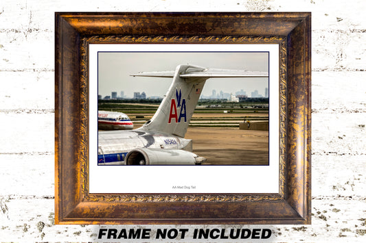 American Airlines AA Mad Dog MD-80 Color Photograph (APPL10017)