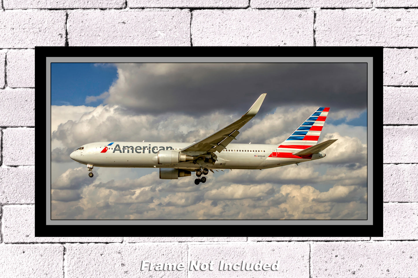 American Airlines Boeing 767-300 Color Photograph (APPM10002)