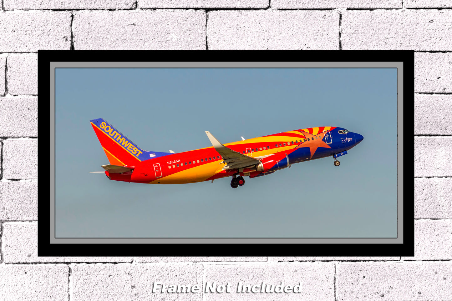 Southwest Airlines Boeing 737 Arizona One Color Photograph (APPM10009)