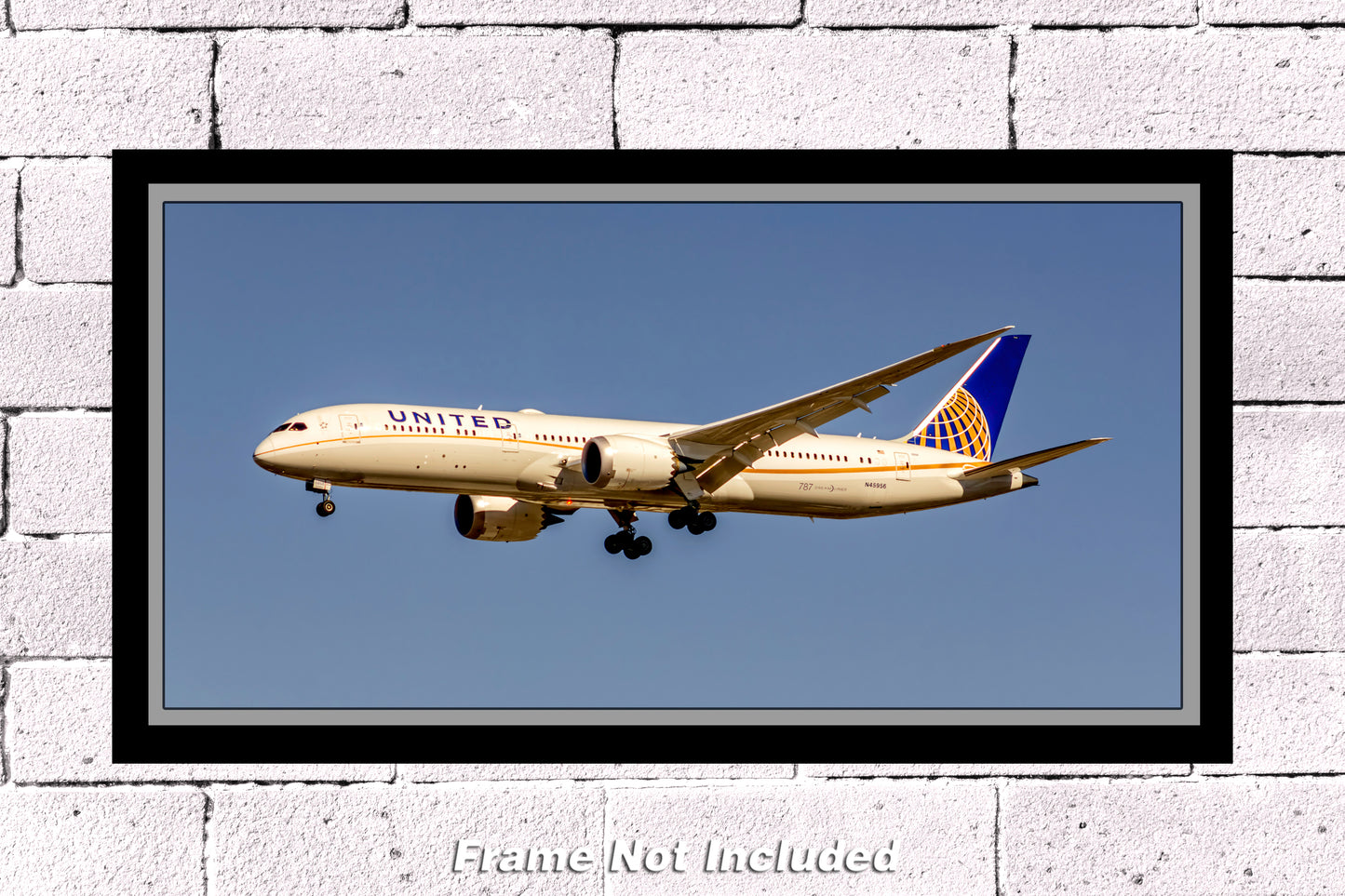 United Airlines Boeing 787-9 Dreamliner Color Photograph (APPM10027)
