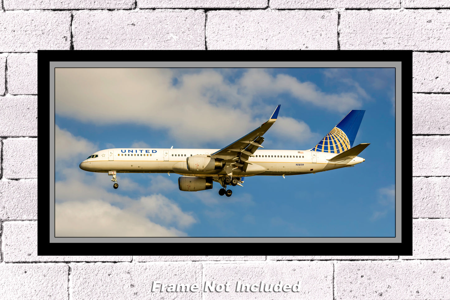 United Airlines Boeing 757-224(WL) Color Photograph (APPM10038)