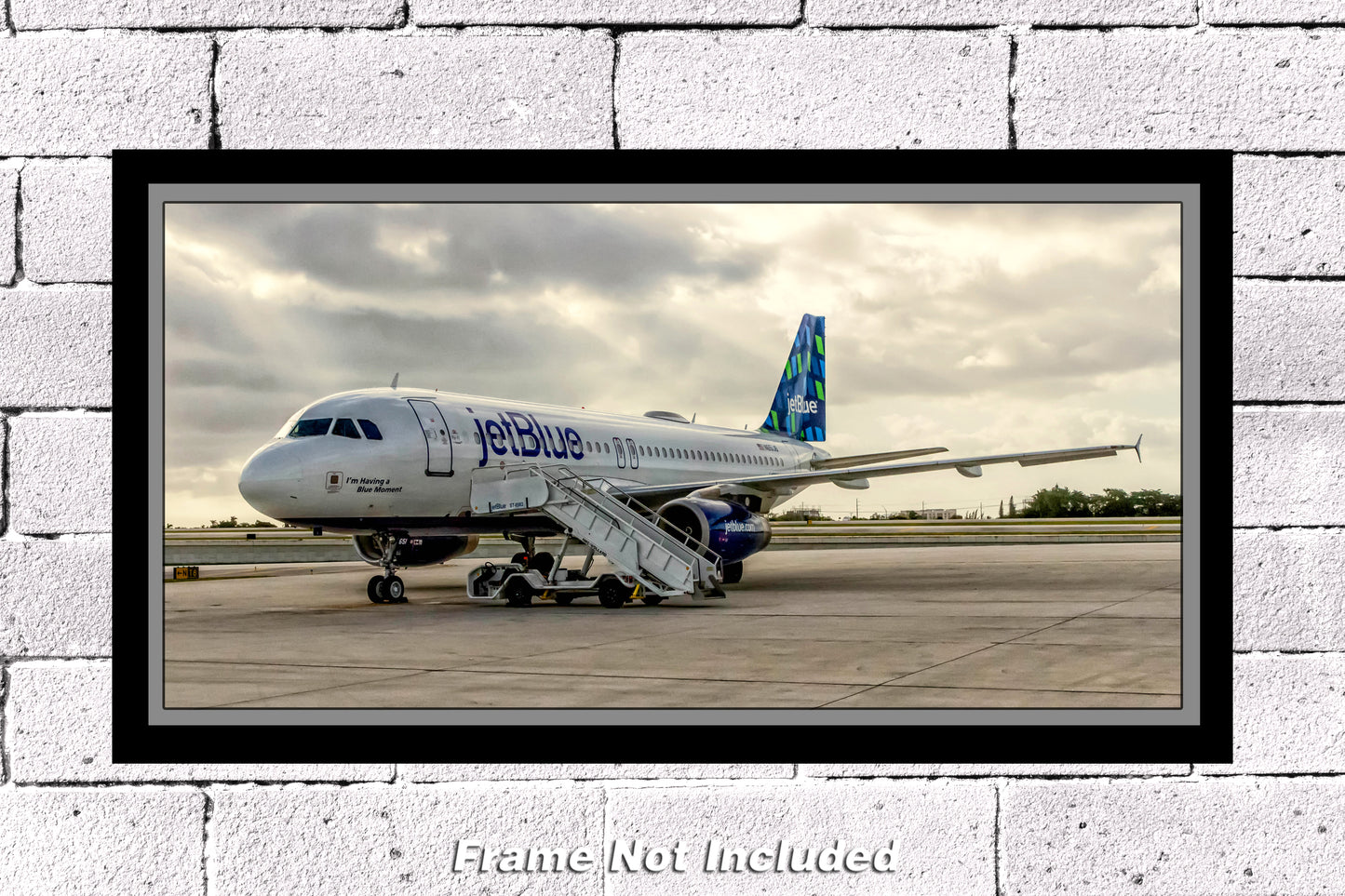 JetBlue Airways Airbus A320 Color Photograph (APPM10080)
