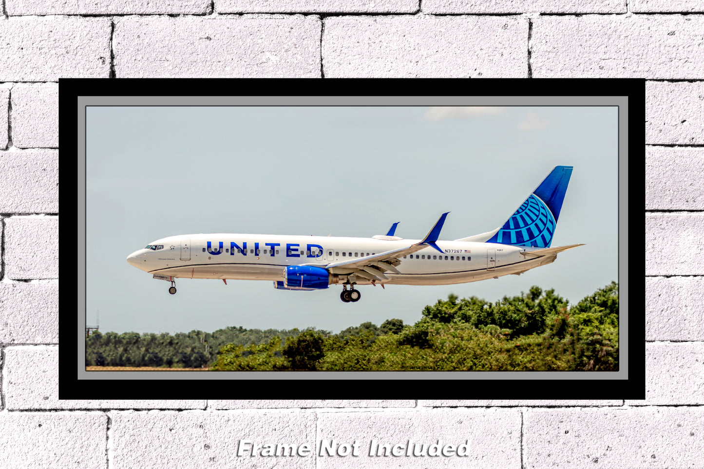 United Airlines Boeing 737-900 Color Photograph (APPM10097)