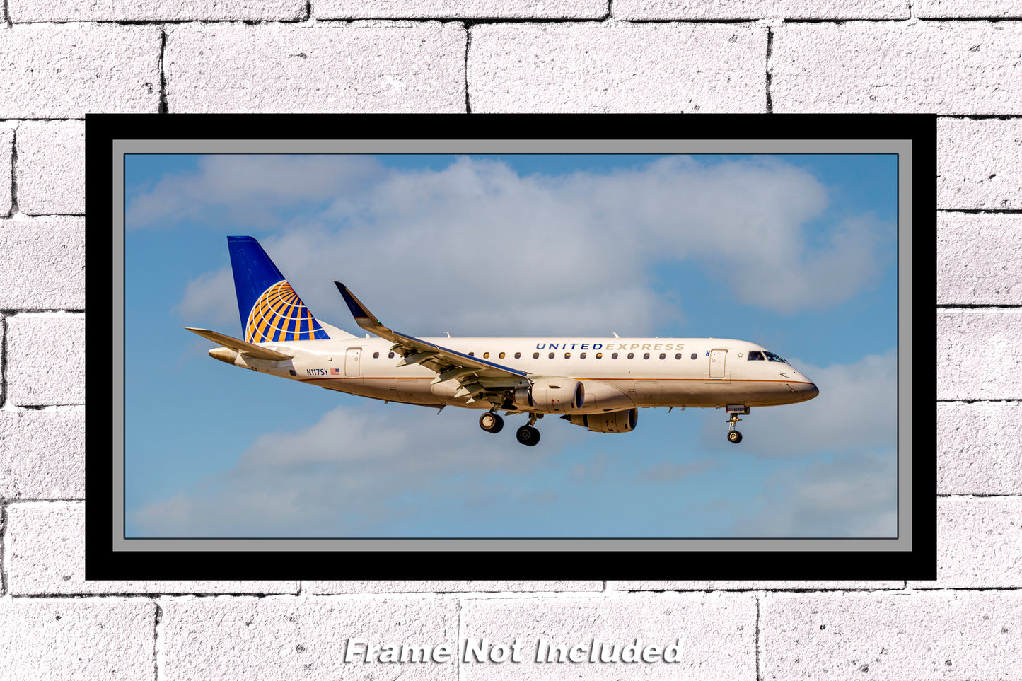 United Express Airlines, Embraer ERJ-175LR Photograph (APPM10115)