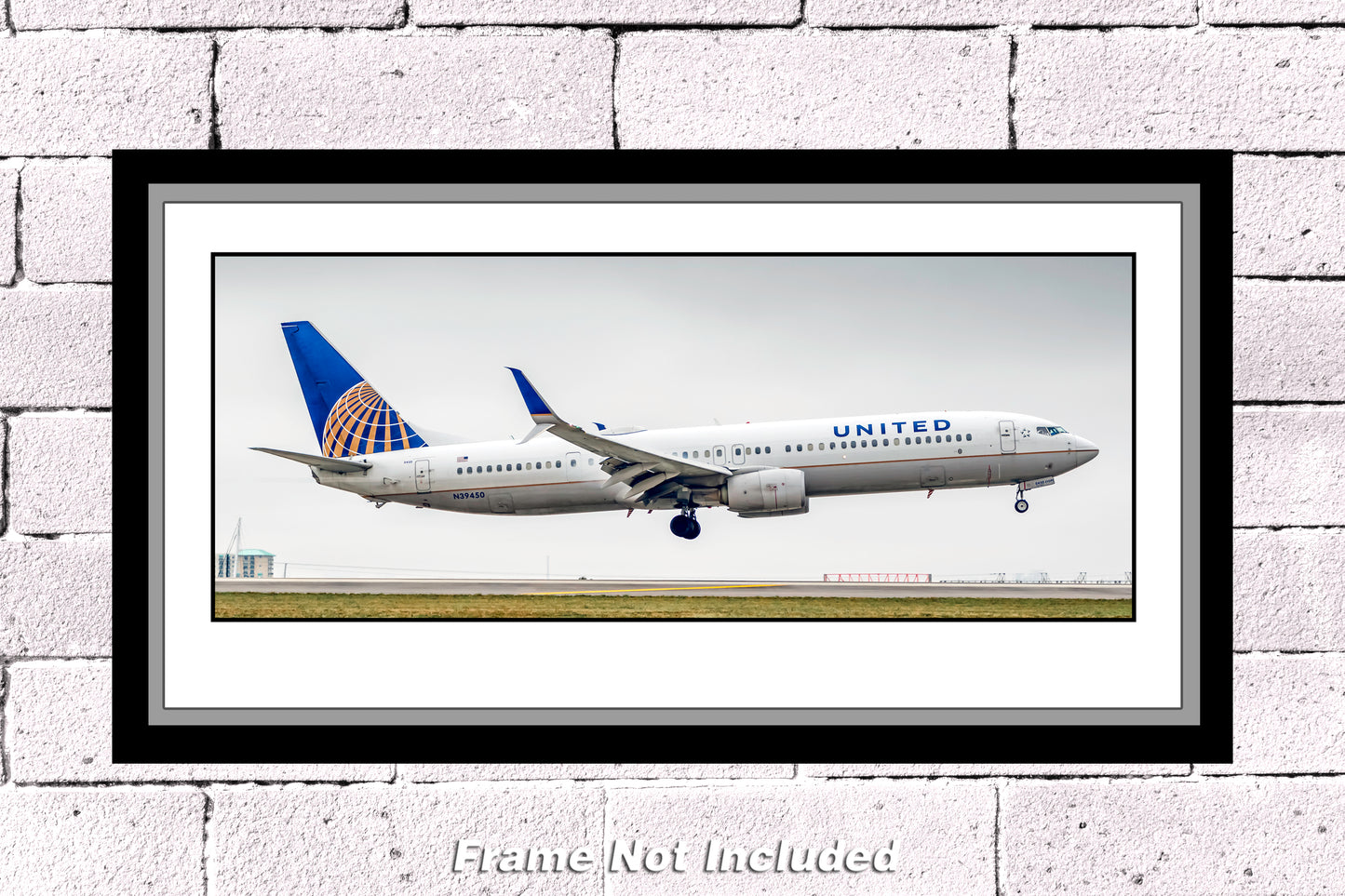United Airlines Boeing 737-900 Color Photograph (APPM10124)
